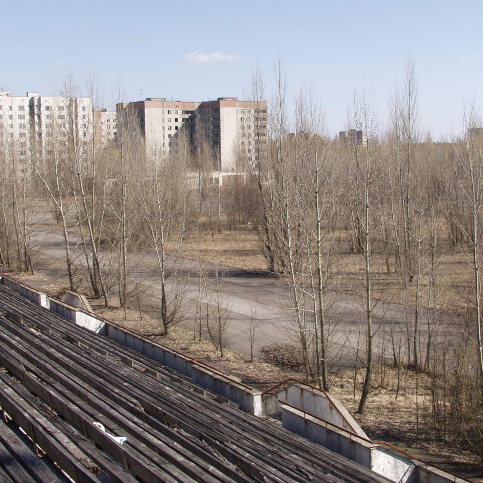 Lora (silya3.lens) Lens social identity (.lens handle) PFP