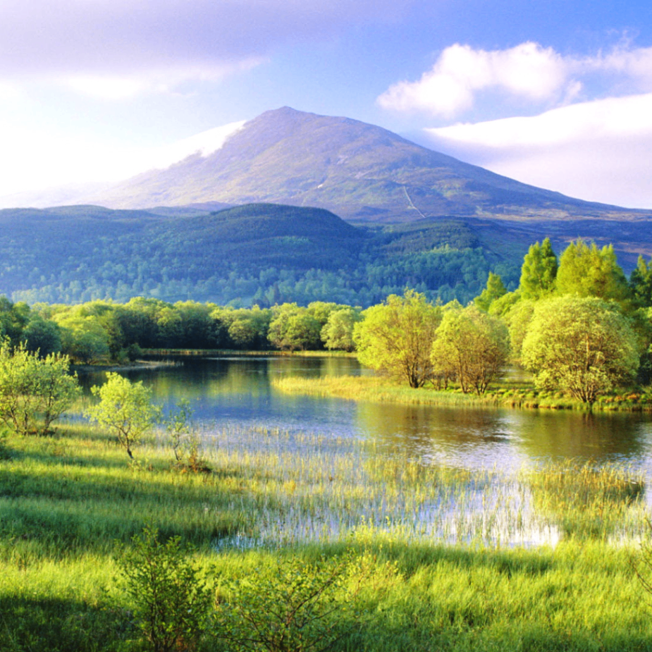 final (final2.lens) Lens social identity (.lens handle) PFP