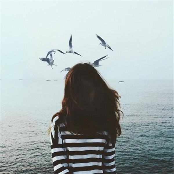 Ocean (hakebakeshsko.lens) Lens social identity (.lens handle) PFP