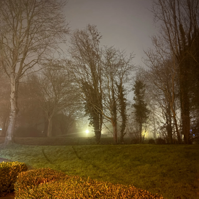 maya (moooo.lens) Lens social identity (.lens handle) PFP