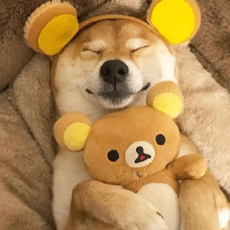 Riley (nsusjuejs.lens) Lens social identity (.lens handle) PFP