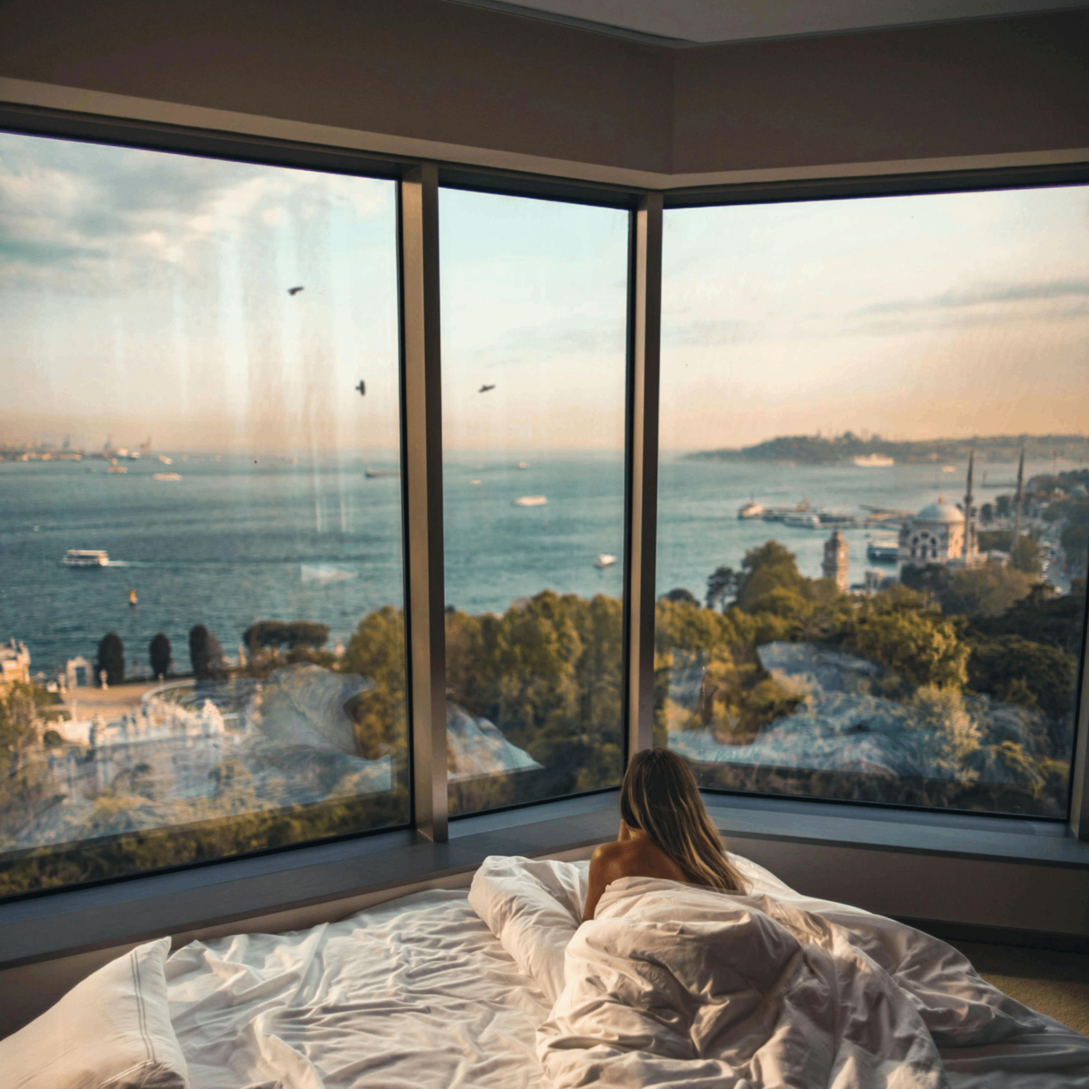 Endas (endas.lens) Lens social identity (.lens handle) PFP