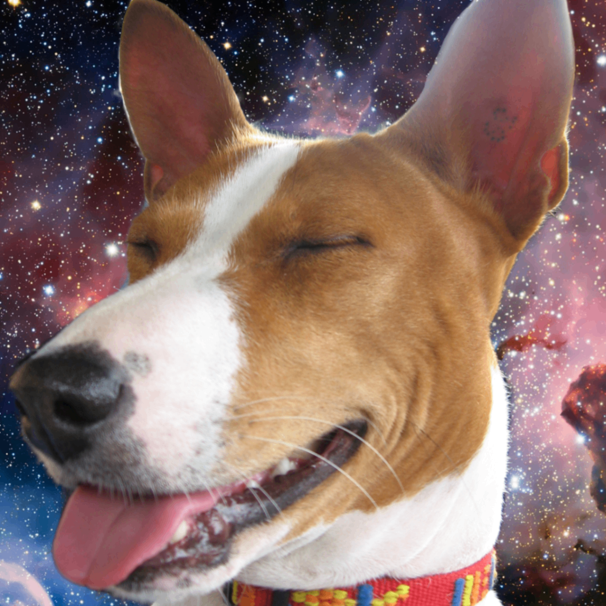 Luka (levac.lens) Lens social identity (.lens handle) PFP