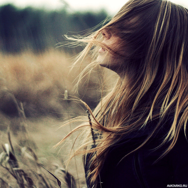 Carol Casey (carolcasey.lens) Lens social identity (.lens handle) PFP