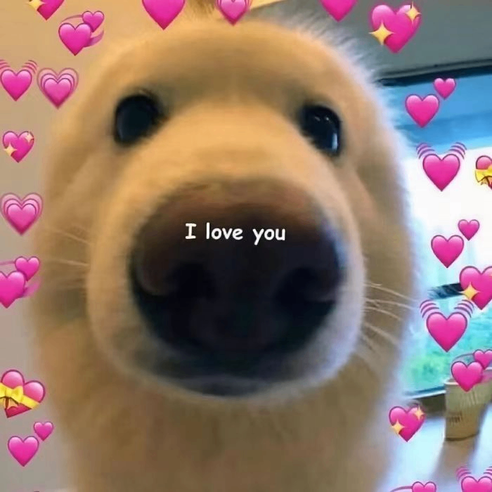 Willia Kizzie (asf56727.lens) Lens social identity (.lens handle) PFP