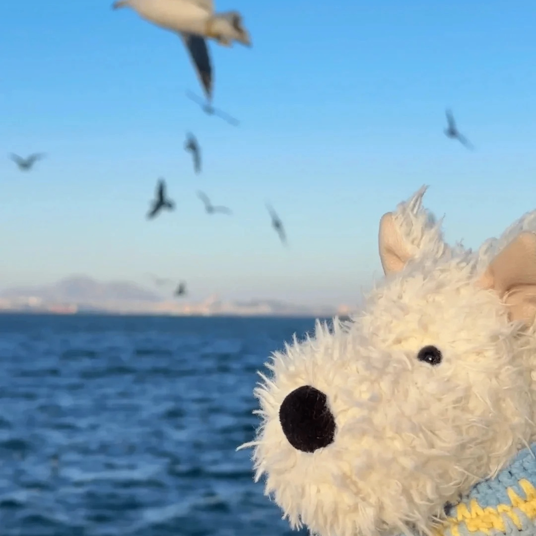 Julia (belindabelle.lens) Lens social identity (.lens handle) PFP