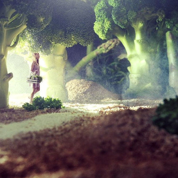 Elaine Lamb (vvvvhh.lens) Lens social identity (.lens handle) PFP