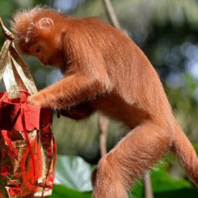 nbhjhb (waaaaa.lens) Lens social identity (.lens handle) PFP