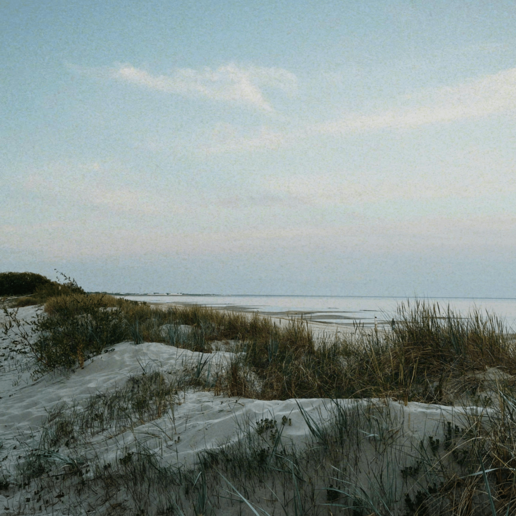 vutew (vutew.lens) Lens social identity (.lens handle) PFP