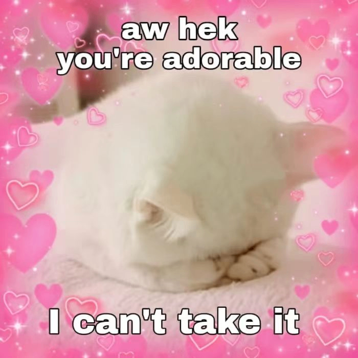 jacquelin cochran (dafffssda.lens) Lens social identity (.lens handle) PFP