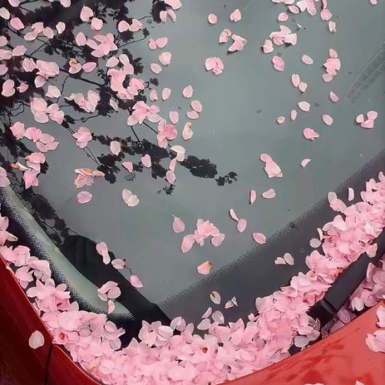 gh (onixi.lens) Lens social identity (.lens handle) PFP