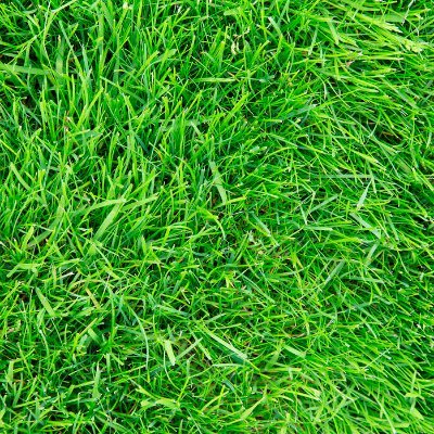 parapek22 (parapek22.lens) Lens social identity (.lens handle) PFP