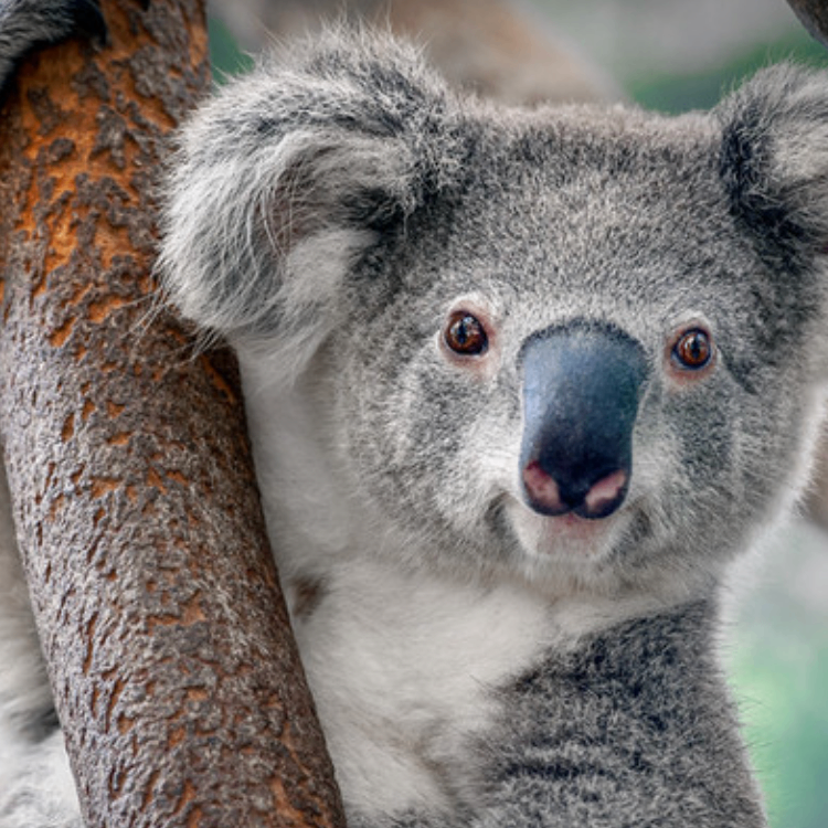 jtir (bbbab.lens) Lens social identity (.lens handle) PFP