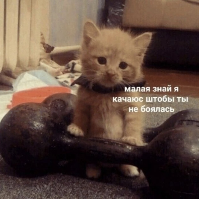 longshort (fcktheword.lens) Lens social identity (.lens handle) PFP