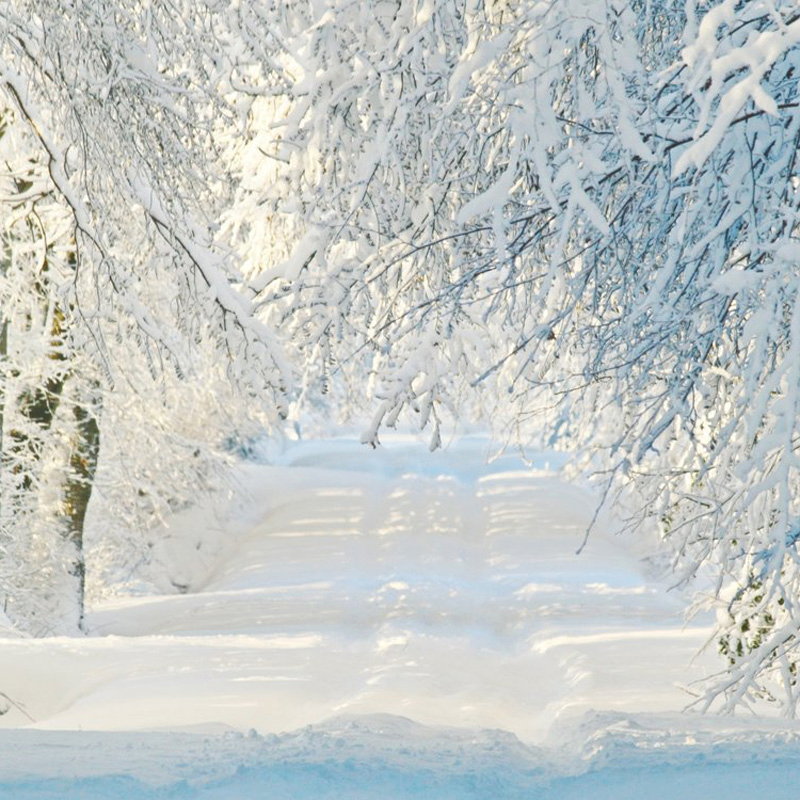 fghf (hasher.lens) Lens social identity (.lens handle) PFP