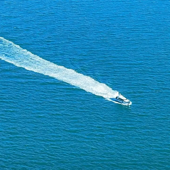 demozineu (demozineu.lens) Lens social identity (.lens handle) PFP