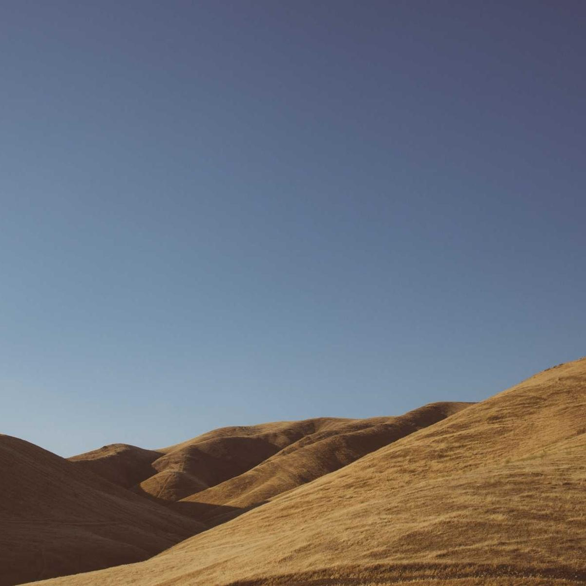 abyssAdventurer (gradyhal.lens) Lens social identity (.lens handle) PFP