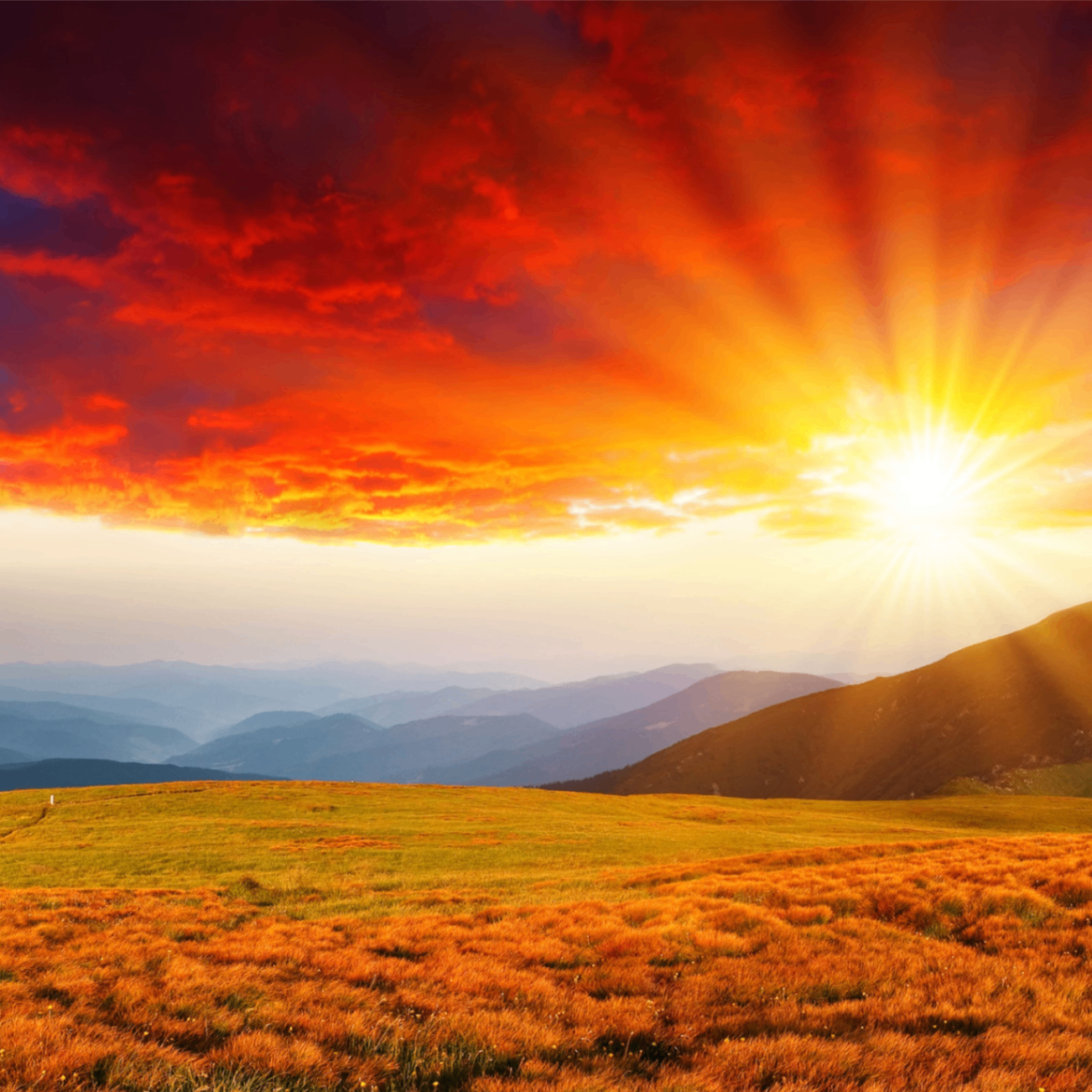 david1 (davied.lens) Lens social identity (.lens handle) PFP