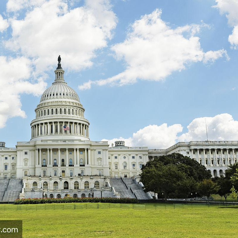 wxinu (wxinu.lens) Lens social identity (.lens handle) PFP