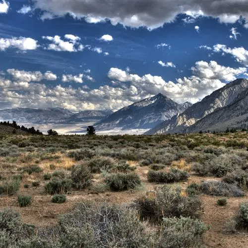 hardpencil (hardpencil.lens) Lens social identity (.lens handle) PFP