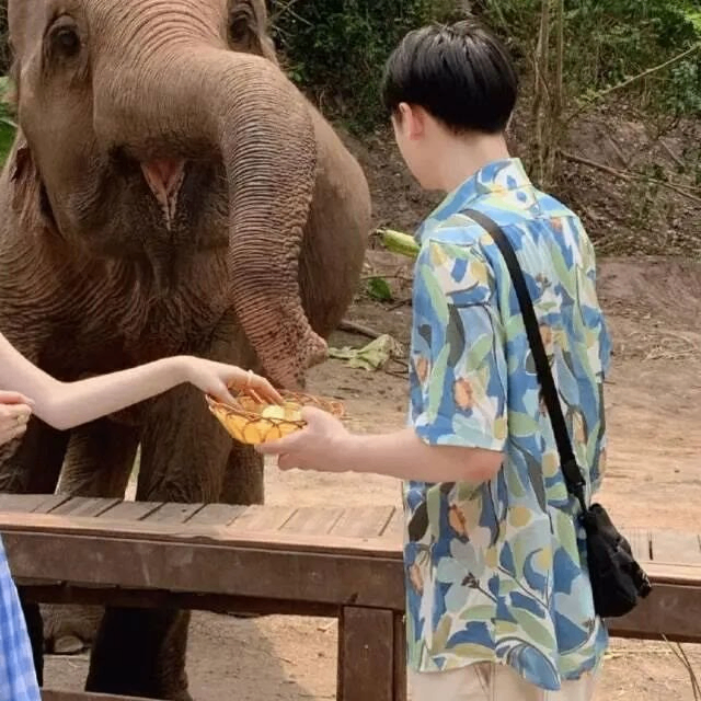 tipsyert (tipsyert.lens) Lens social identity (.lens handle) PFP