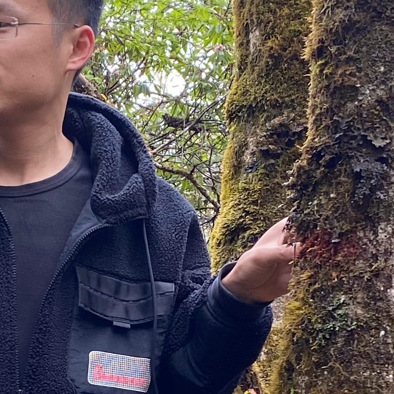 Oh (vfry75rho74figfd.lens) Lens social identity (.lens handle) PFP