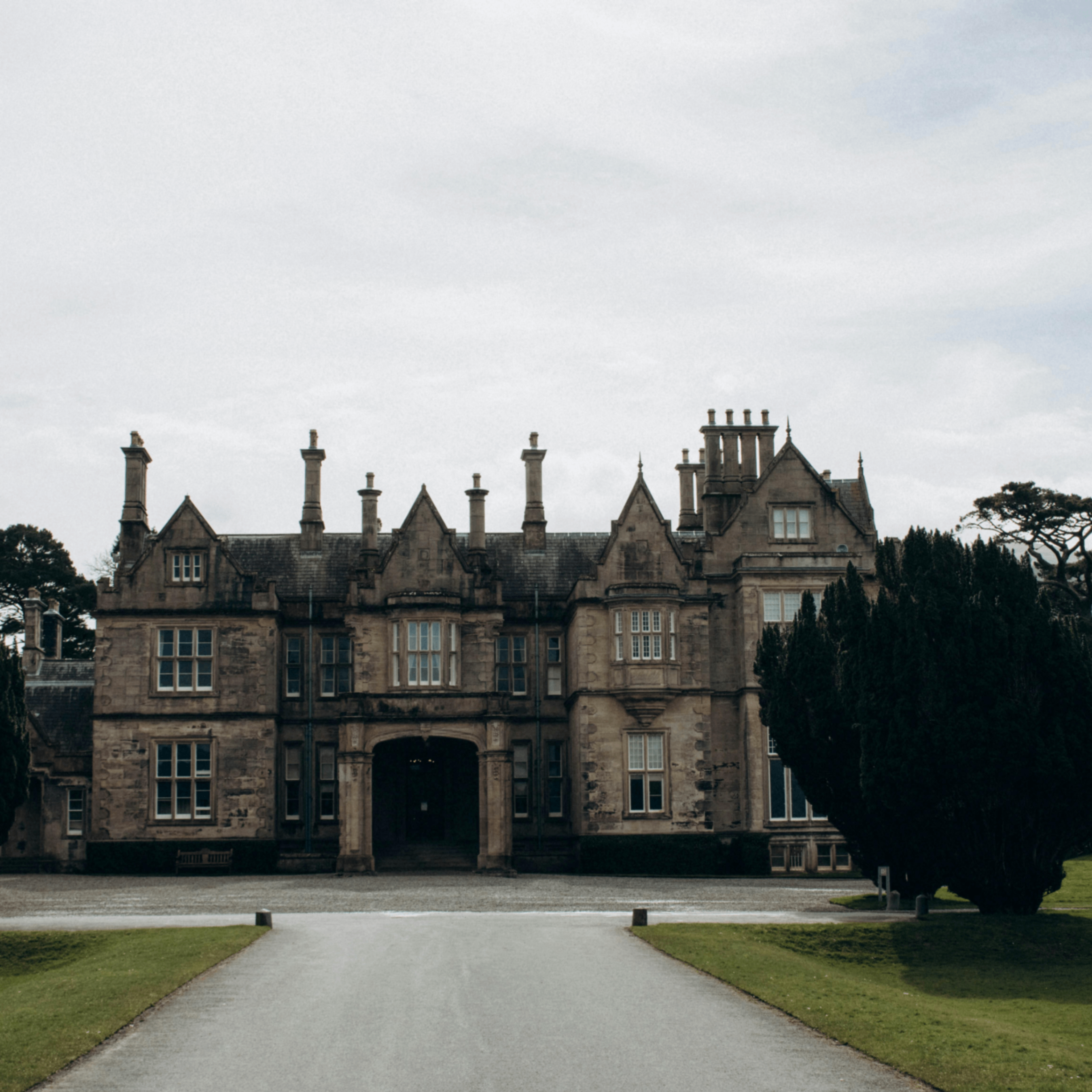 hfjhf (hfjhf.lens) Lens social identity (.lens handle) PFP