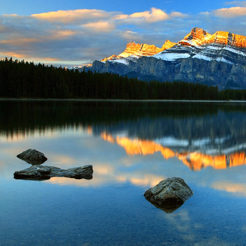 Lester Charles (bbbbdd.lens) Lens social identity (.lens handle) PFP