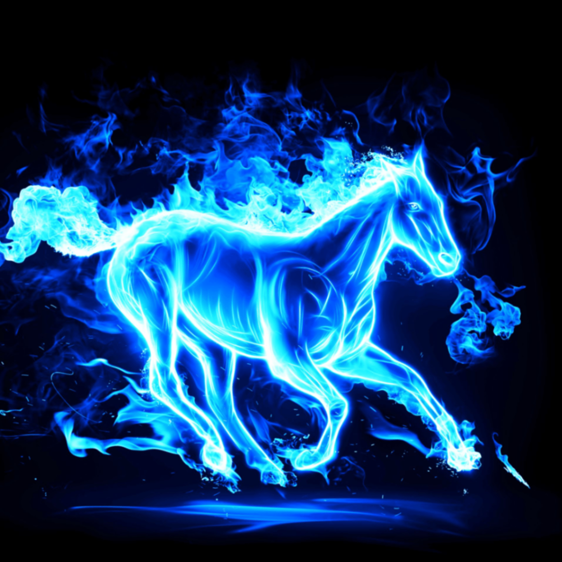 Ai Duong (tuannn710.lens) Lens social identity (.lens handle) PFP