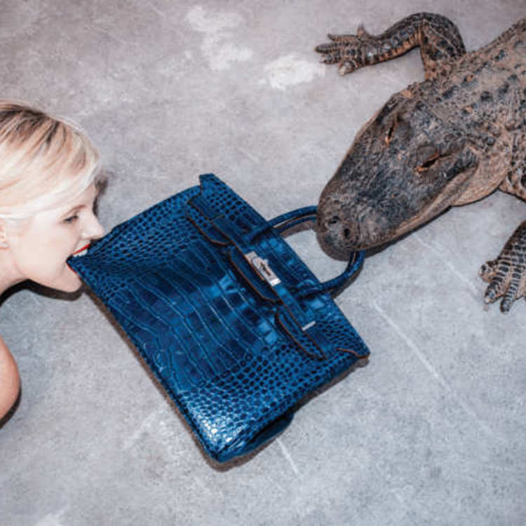 PantherProwler (butterflywings.lens) Lens social identity (.lens handle) PFP