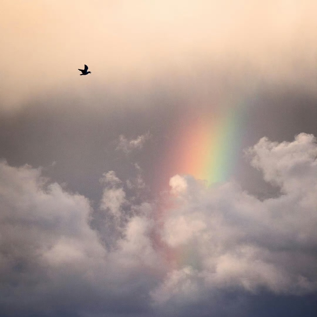 Henry Nelson (revivw.lens) Lens social identity (.lens handle) PFP