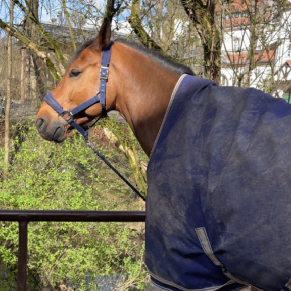 Maddie (maddie.lens) Lens social identity (.lens handle) PFP