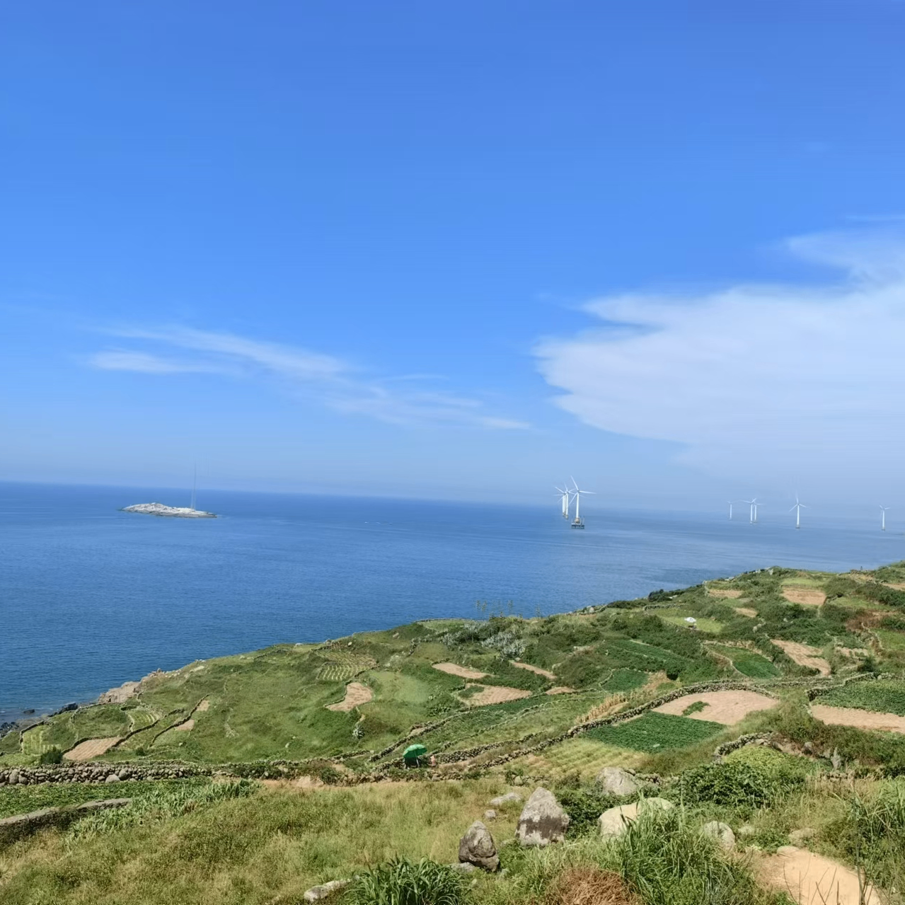 cici1 (cici1.lens) Lens social identity (.lens handle) PFP