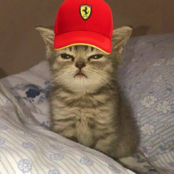 airmag (airmag.lens) Lens social identity (.lens handle) PFP