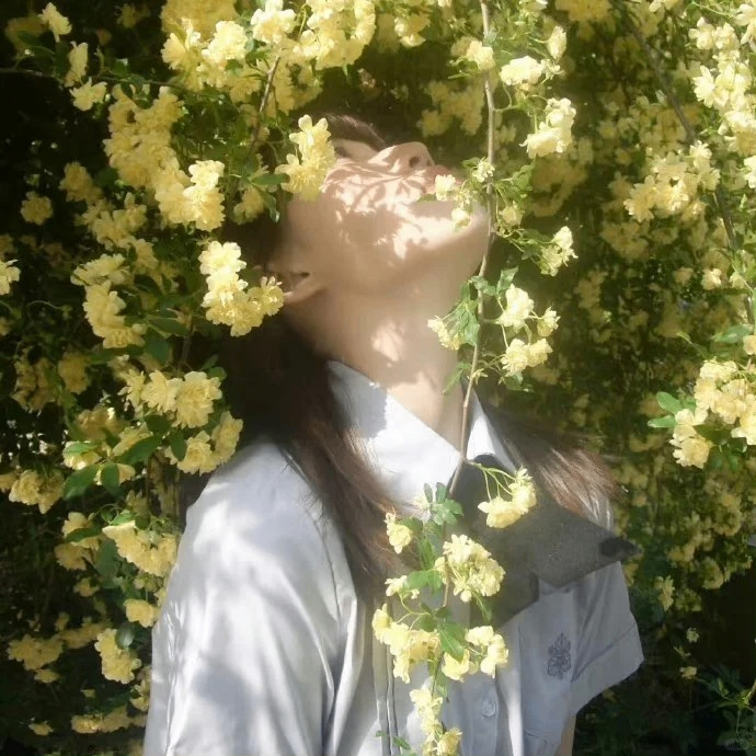 Charlotte (alvaalexandra.lens) Lens social identity (.lens handle) PFP