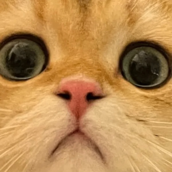 seven (eddie712chai.lens) Lens social identity (.lens handle) PFP