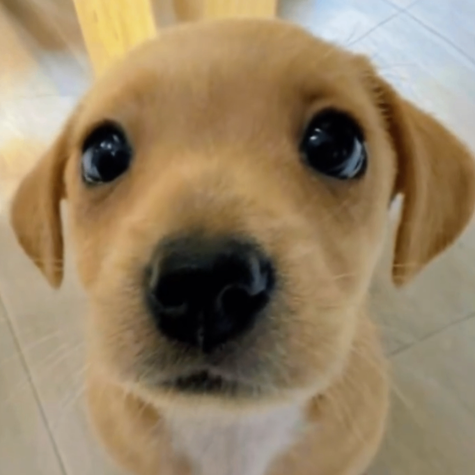 zbm (zbm001.lens) Lens social identity (.lens handle) PFP