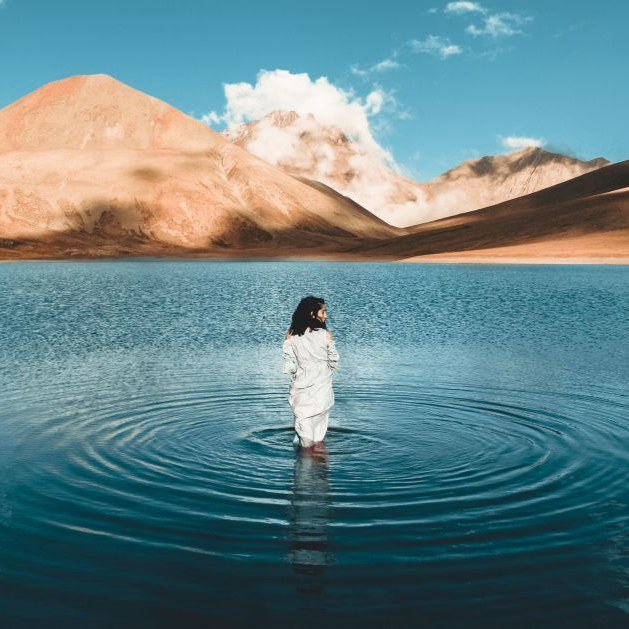 vanha201 (gaskenka.lens) Lens social identity (.lens handle) PFP