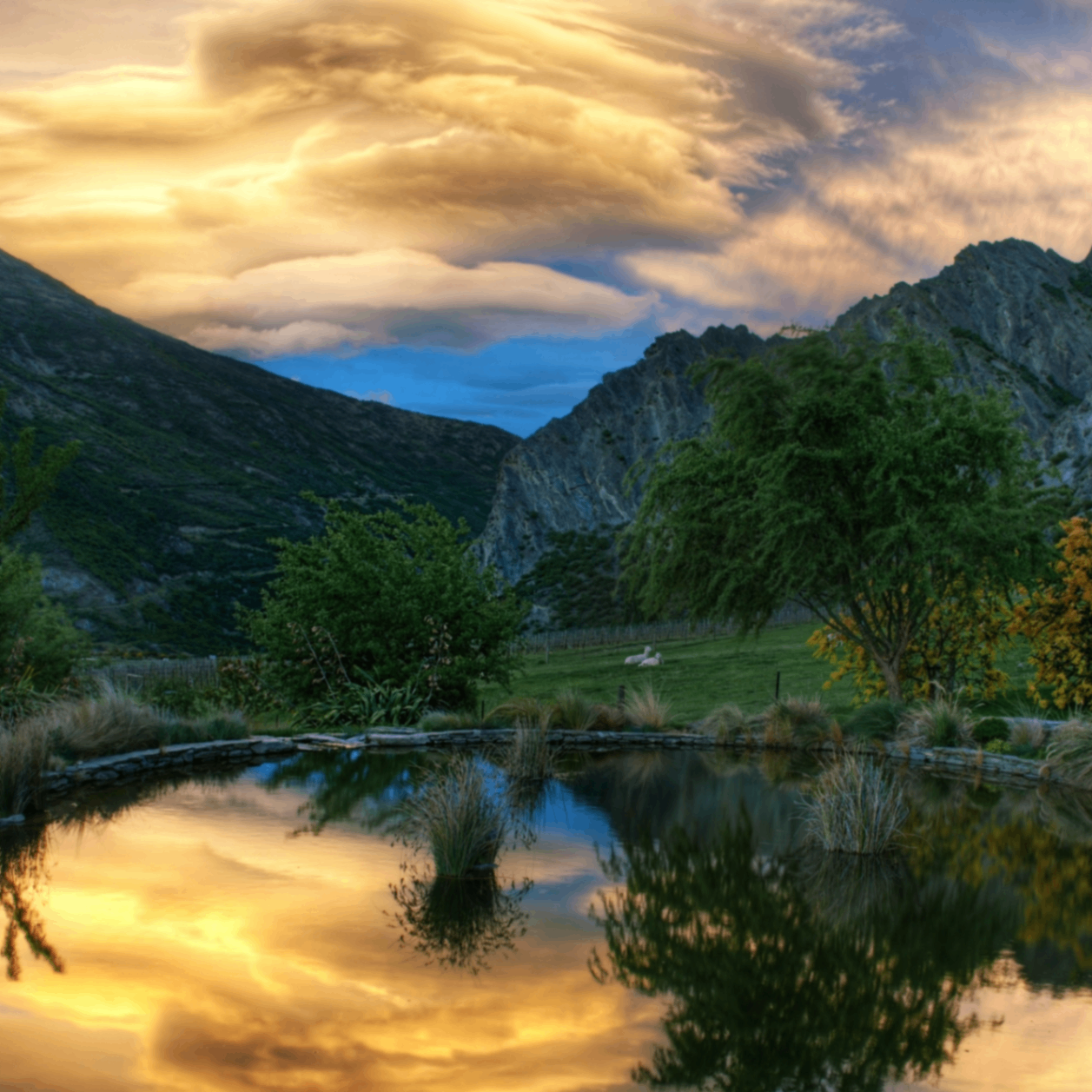 Mike (flatra.lens) Lens social identity (.lens handle) PFP