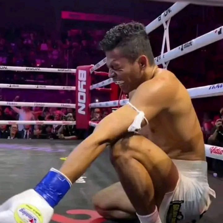 Antonpmd (gubmfj.lens) Lens social identity (.lens handle) PFP