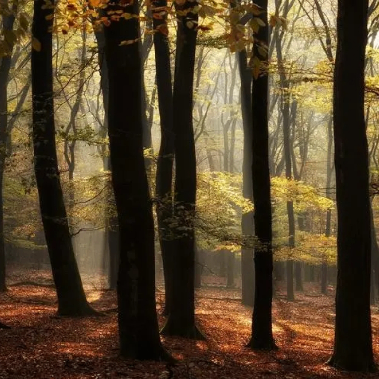 Amy Lytton (kkaaaa.lens) Lens social identity (.lens handle) PFP