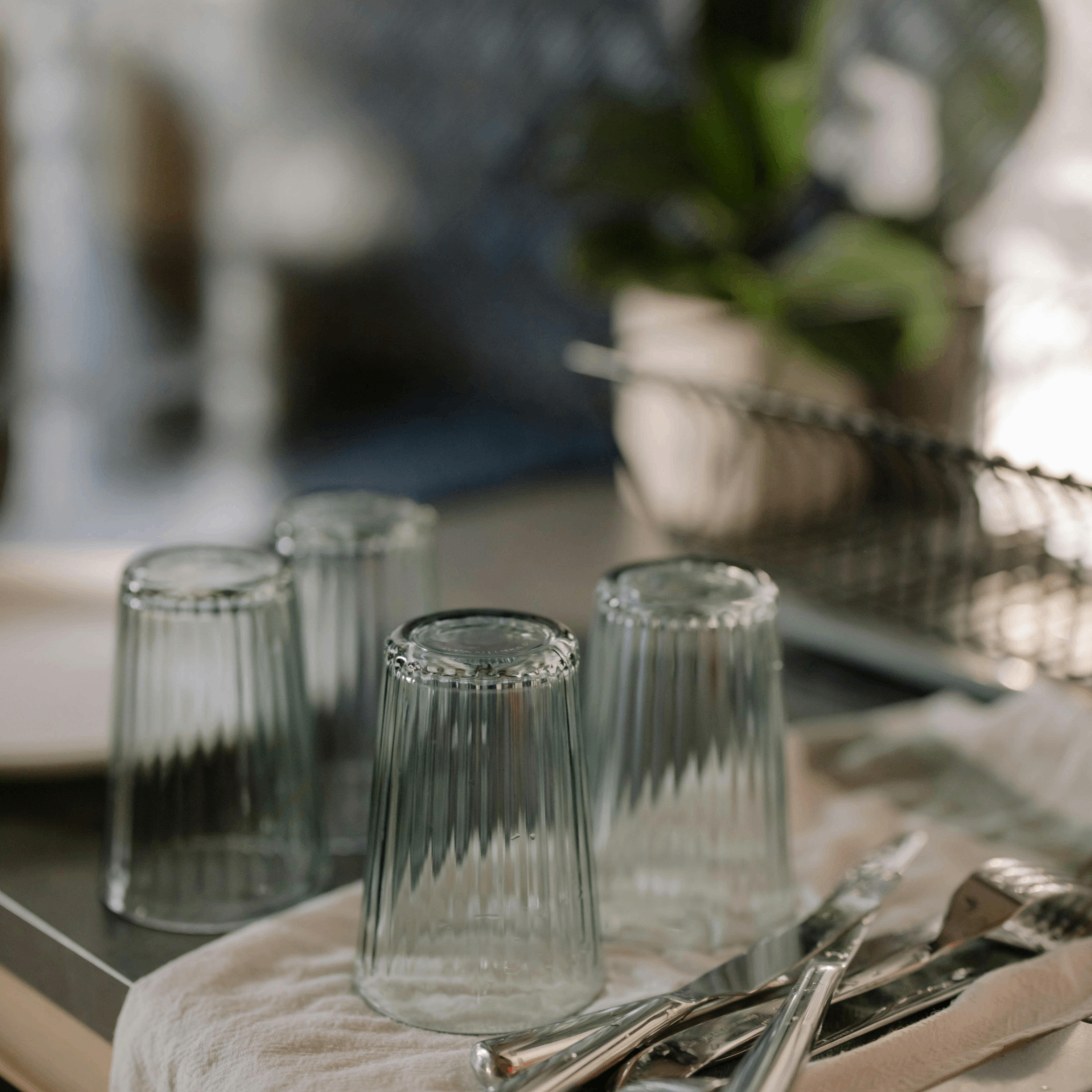 shors (shors.lens) Lens social identity (.lens handle) PFP