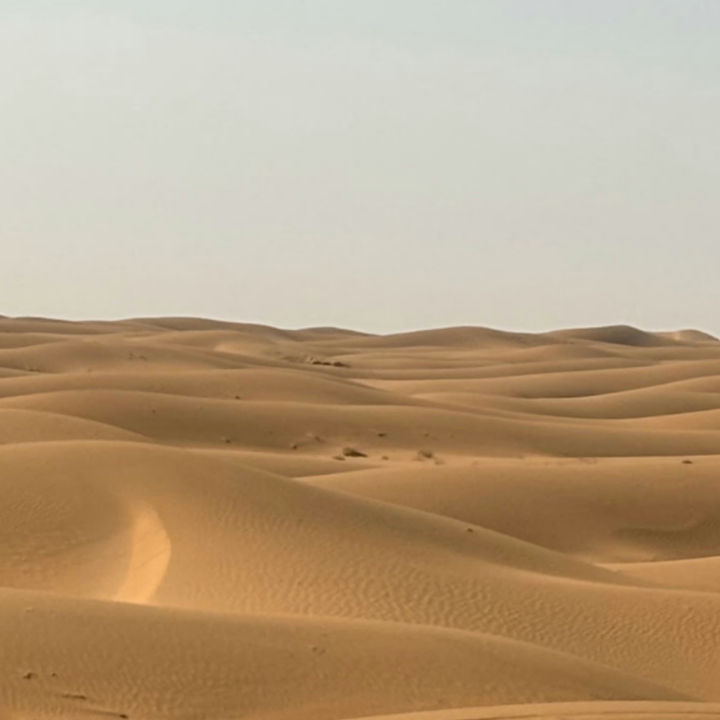 Maggie Ye (maggieee.lens) Lens social identity (.lens handle) PFP