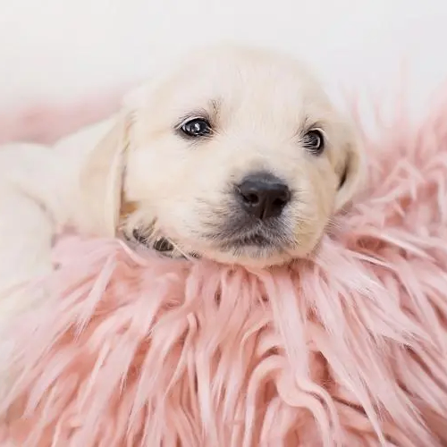 Jessica Becher (eeeeew.lens) Lens social identity (.lens handle) PFP