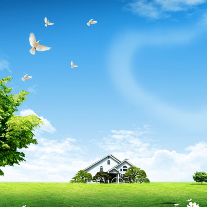 xcfgvhb (leeeee.lens) Lens social identity (.lens handle) PFP