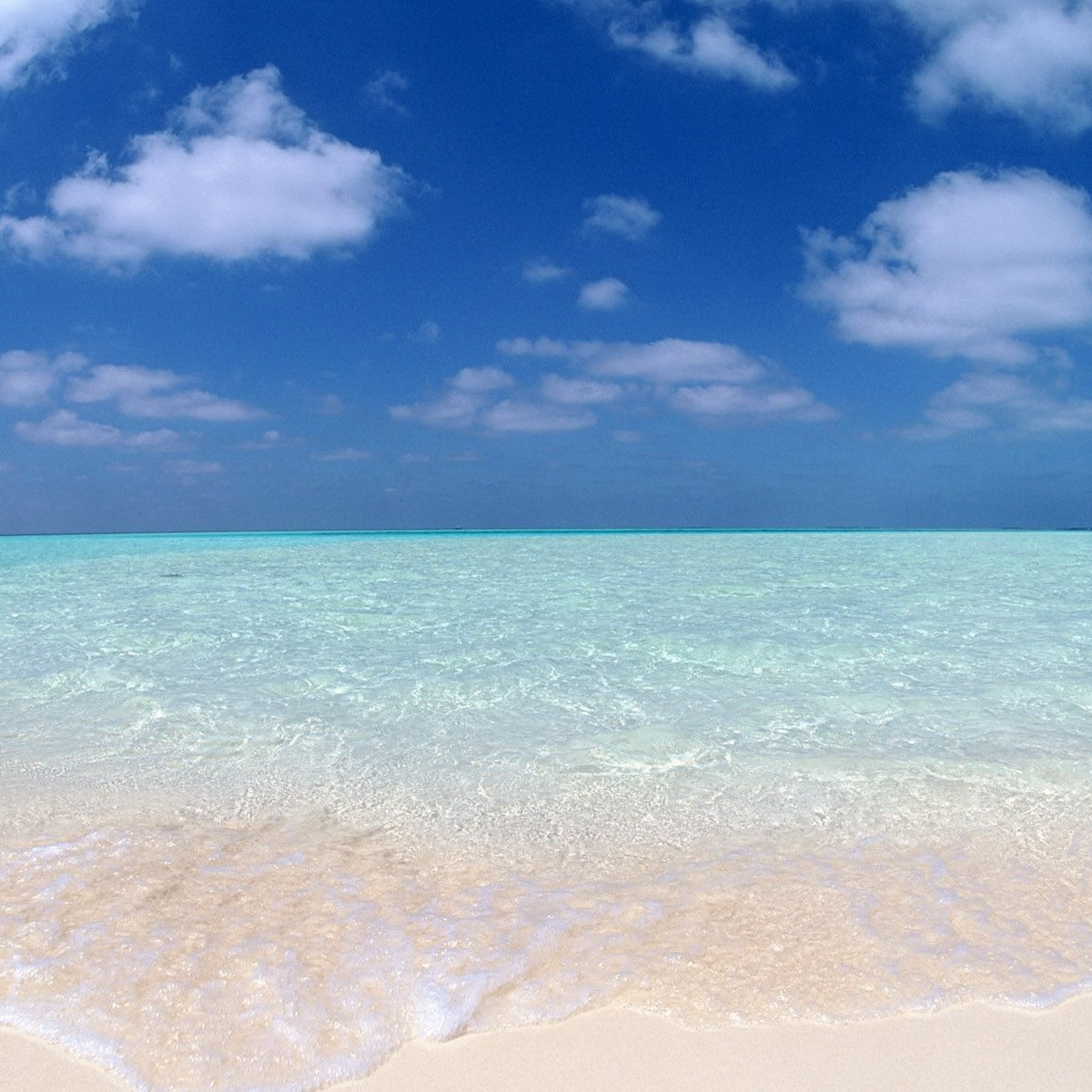 sdg (blockboost.lens) Lens social identity (.lens handle) PFP