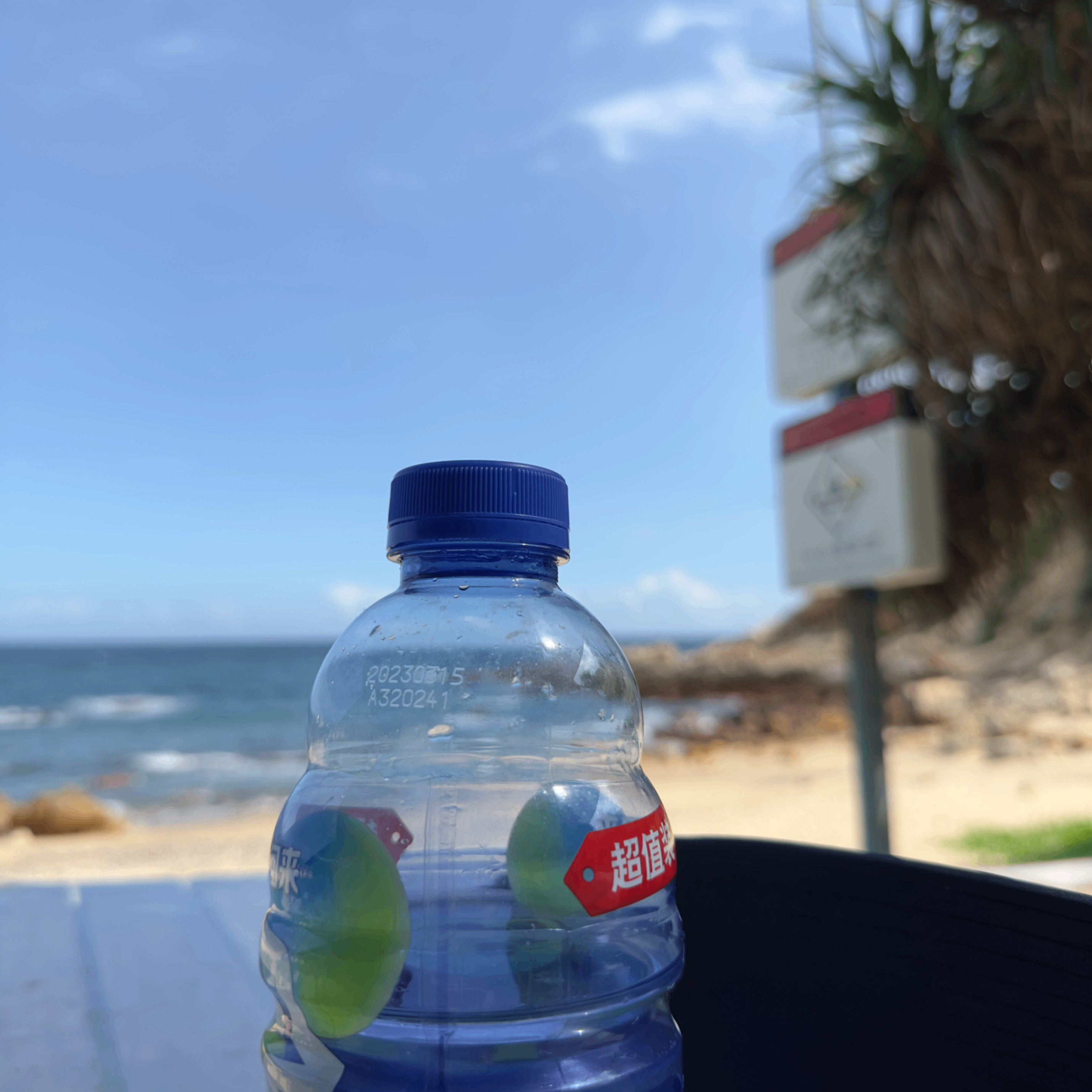 Lilliana Salinas (87771.lens) Lens social identity (.lens handle) PFP