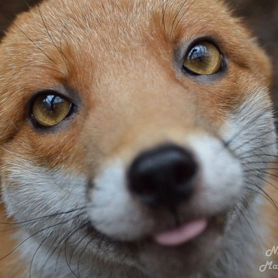 jeremy (jeremycooper.lens) Lens social identity (.lens handle) PFP