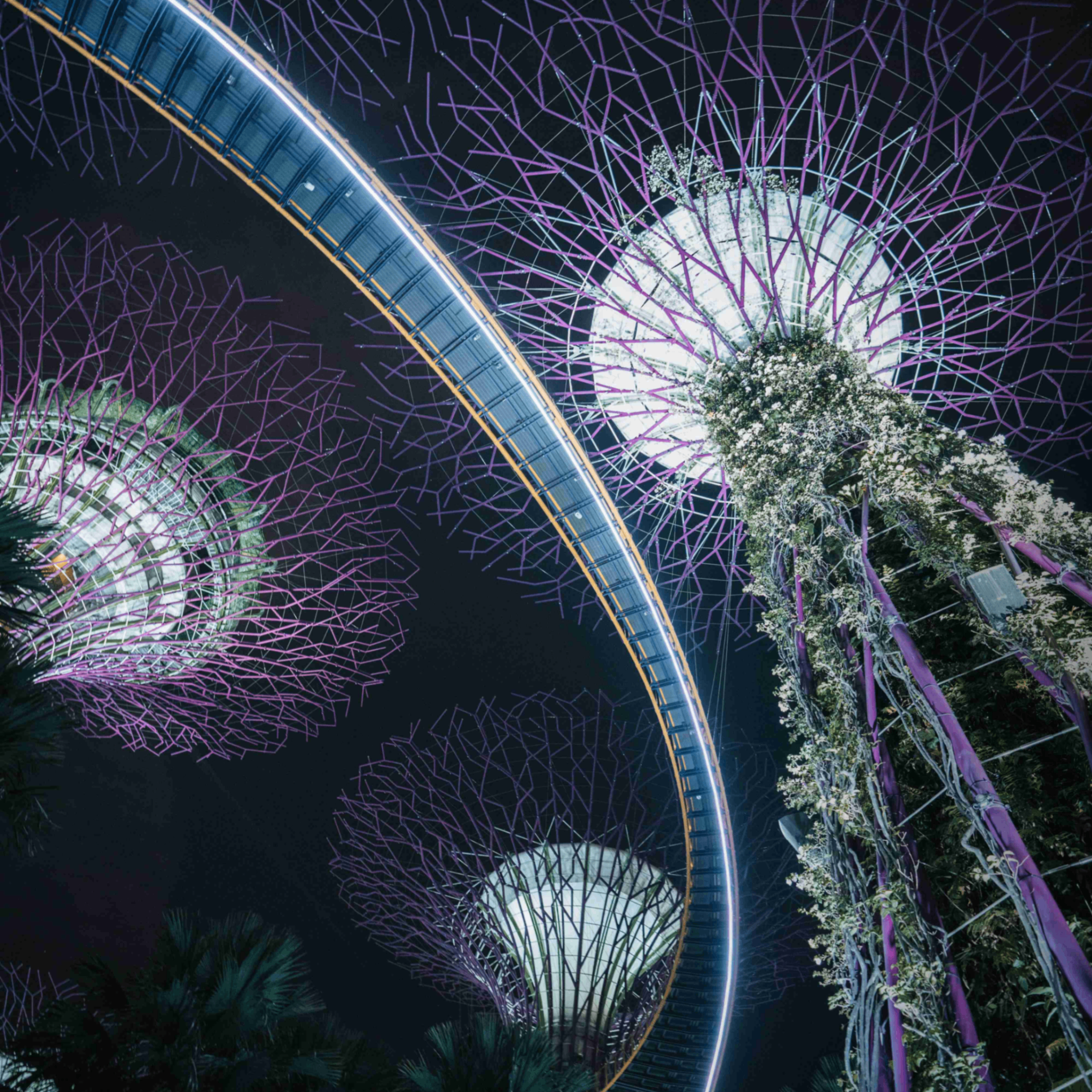 fousekmout (94909.lens) Lens social identity (.lens handle) PFP