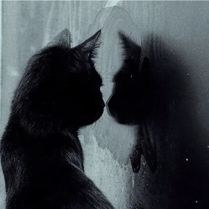 pake Jimi (chachawu.lens) Lens social identity (.lens handle) PFP